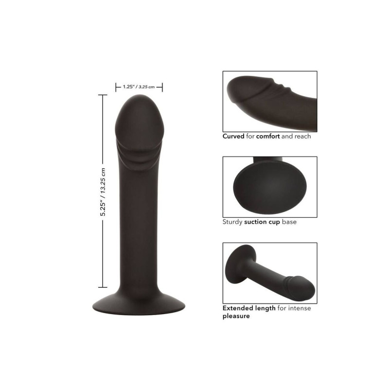 CALEXOTICS - STUD ANAL COURB? - Bouchons anaux | Vybes.it