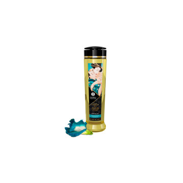 Shunga - Sinnliches Erotisches Massageöl 240 Ml | Vybes.it