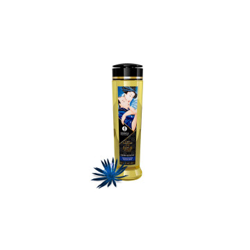 Shunga - Huile De Massage Érotique Séduction 240 Ml | Vybes.it