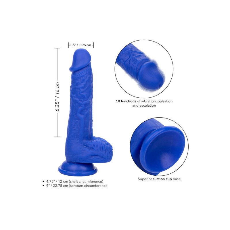 Calexotics - Admiral Sailor Realistic Dildo Vibrator Blue | Vybes.it