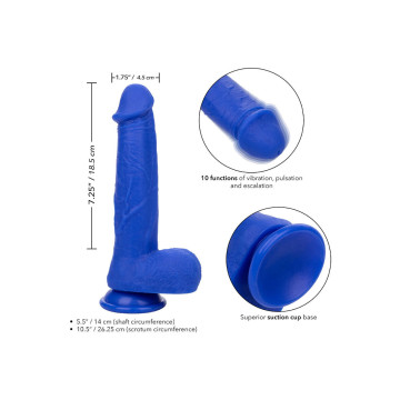 Calexotics - Admiral Vibrateur Gode Réaliste Captain Bleu | Vybes.it