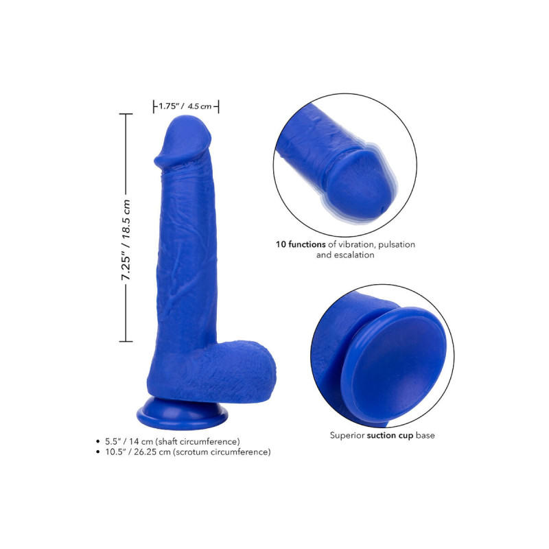 Calexotics - Admiral Vibrateur Gode Réaliste Captain Bleu | Vybes.it