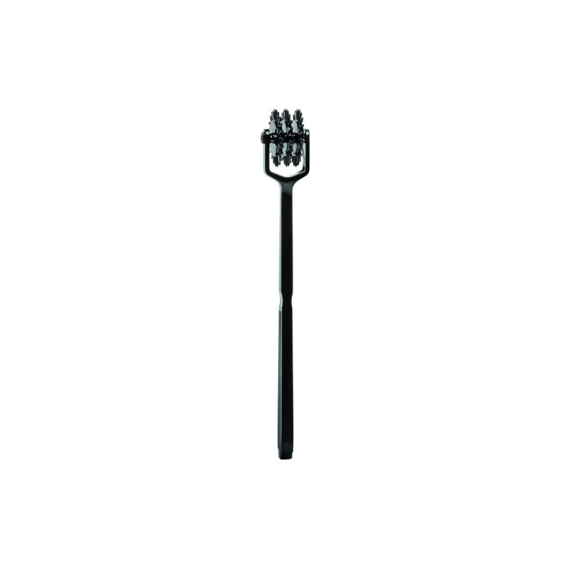 Calexotics - Boundless Rueda De Placer Trio | Vybes.it