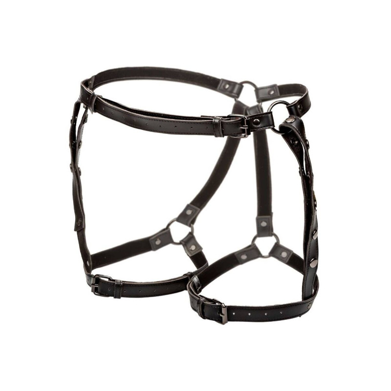 Calexotics - Euphoria Arnés De Muslo Equitación Talla Grande |