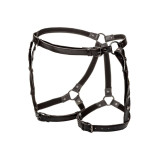 Calexotics - Euphoria Arnés De Muslo Equitación Talla Grande |