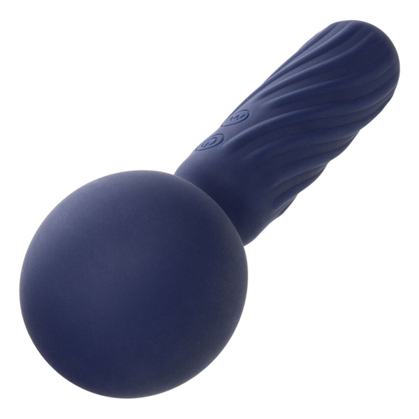 CALEXOTICS - CHARISMA SEDUCTION MASSAGER 12 FUNKTIONEN 17,75 CM X 6,25 CM LILA