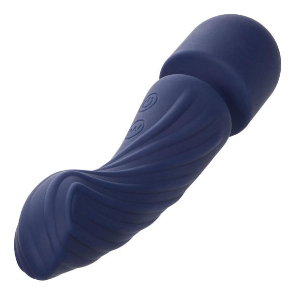 CALEXOTICS - CHARISMA ALLURE MASSAGER DUAL MOTORS 12 FUNCTIONS 17.25 CM X 4.5 CM PURPLE