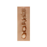 SHEQU - EUNICE MASTURBADOR VAGINA