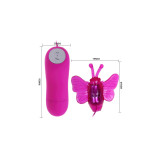 Baile - Cute Secret Mariposa Estimuladora Vibrador 12V | Vybes.it