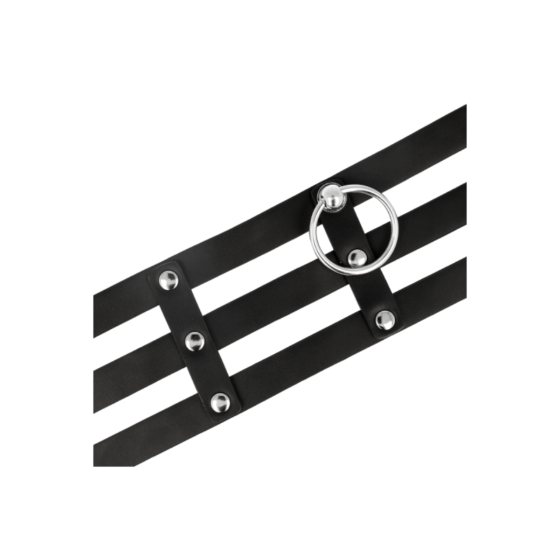 Coquette Chic Desire - Ras De Cou En Cuir Végan Style Fétiche |
