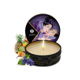 Shunga - Geheime Exotische Geisha - Früchte | Vybes.it