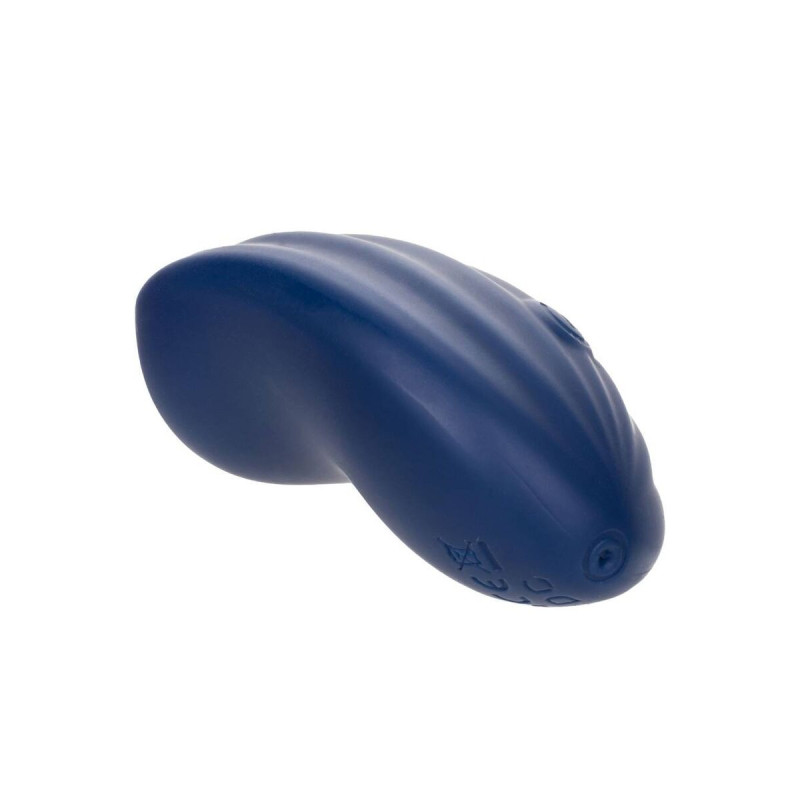 Calexotics - Cashmere - Samt - Curve - Blau | Vybes.it