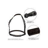 Calexotics - Euphoria Arnés Hatler Con Hebilla Negro | Vybes.it