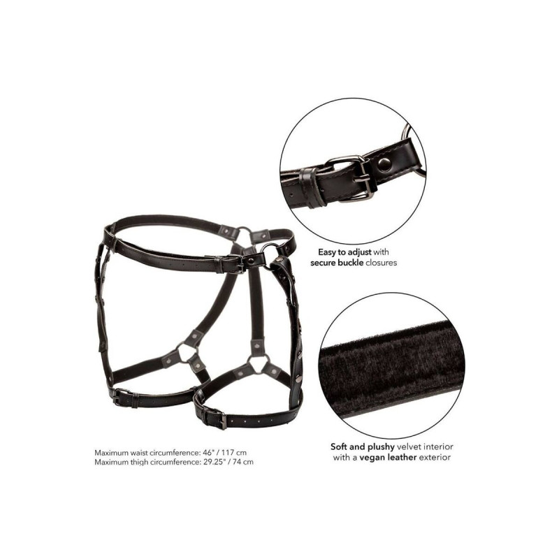 Calexotics - Euphoria Arnés De Muslo Equitación Talla Grande |