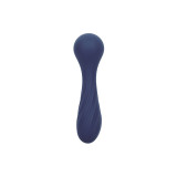 Calexotics - Charisma Temptation Masseur 12 Fonctions Violet |