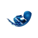 Satisfyer - Pro+ Wave 4 Stimulateur Point G Et Impulsion D'air