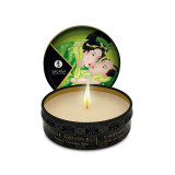 Shunga - Mini Caresse À La Bougie Présentoir Bougies De Massage 24