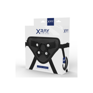 X Ray - Arnés Compatible Con Anillas Silicona | Vybes.it
