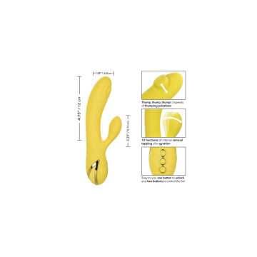 Calexotics - San Diego Séduction | Vybes.it