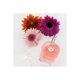 Eye Of Love - Eol Phr Perfume Deluxe 50 Ml - One Love | Vybes.it