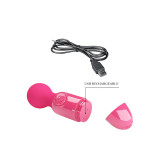 Pretty Love - Magenta Mini Persönliches Massager | Vybes.it