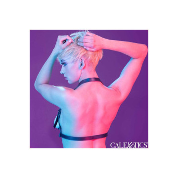Calexotics - Euphoria Arnés Hatler Con Hebilla Negro | Vybes.it