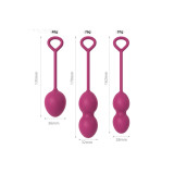 ARMONY - ANABIOSIS MANUBRI VAGINALI 3 LIVELLI BORDEAUX - ARMONY WEARA…