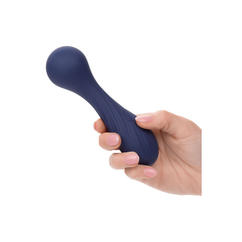 Calexotics - Charisma Temptation Masseur 12 Fonctions Violet |