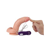 SHEQU - KASSADIN DILDO VIBRADOR CON CONTROL REMOTO 17,5 CM