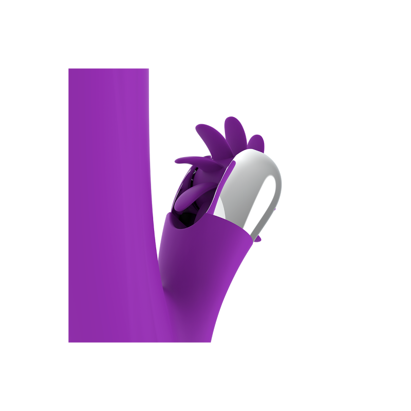 Fun Function - Rotation Drôle De Lapin 2.0 | Vybes.it