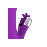 Fun Function - Bunny Funny Vibration 2.0 | Vybes.it