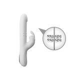 Pretty Love - Reese Vibrador Con Rotación Plateado | Vybes.it