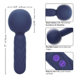 CALEXOTICS - CHARISMA SEDUCTION MASSEUR 12 FONCTIONS 17,75 CM X 6,25 CM VIOLET