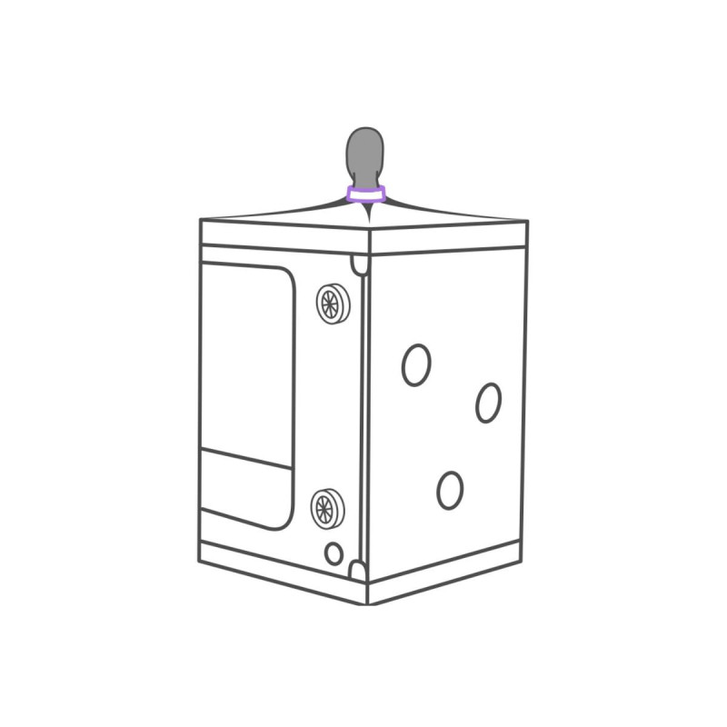 Secret Dome - Kink Club Cabina Scandale Morado | Vybes.it