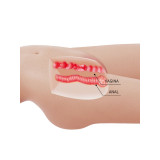 Crazy Bull - Mia Realistic Female Torso Vagina And Anal 8.5 Kg |