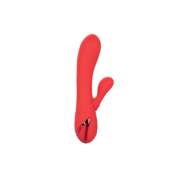 Calexotics - Palisades Passion Rot | Vybes.it