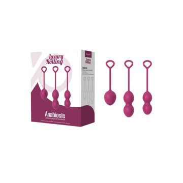 ARMONY - ANABIOSIS HALTÈRE VAGINALE 3 NIVEAUX BOURGOGNE - ARMONY WEAR…