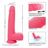CALEXOTICS - STUDS VIBRATEUR RÉALISTE 10 VIBRATIONS ROSE
