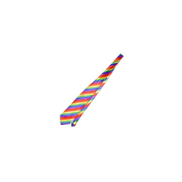 PRIDE - LGBT-FLAGGE KRAWATTE - Zubehör | Vybes.it