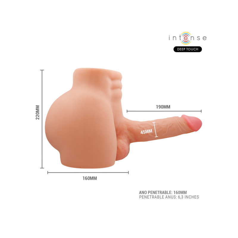 INTENSE DEEP TOUCH - RICHIE TORSO WITH ANUS AND REALISTIC DILDO WITH…