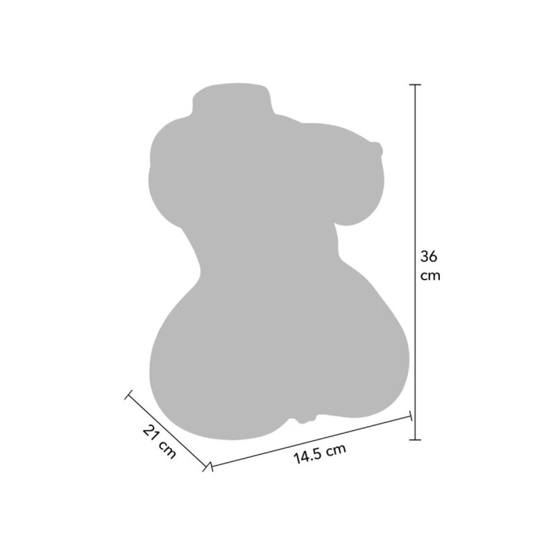 Hidden Desire - Juicy Double D Masturbador Vagina Y Ano 5 Kg |