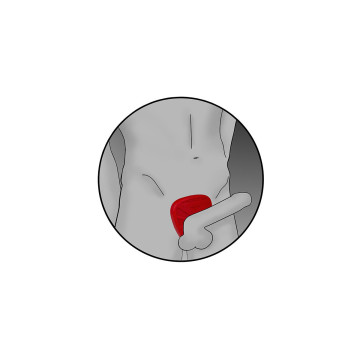 Electrastim - Protège - Bite Viper Silicone Fusion | Vybes.it