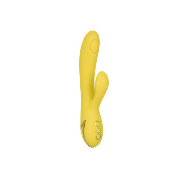 Calexotics - San Diego Séduction | Vybes.it