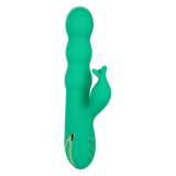 CALEXOTICS - SONOMA SODDISFATTO VERDE