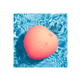 Romp - Succion Clitoriale Pêche Rose | Vybes.it