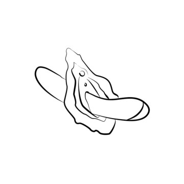 Romp - Hype Vibrador Punto G Multifunción Rojo | Vybes.it