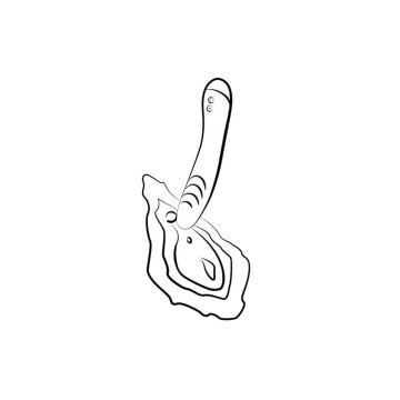Romp - Hype Vibrador Punto G Multifunción Rojo | Vybes.it