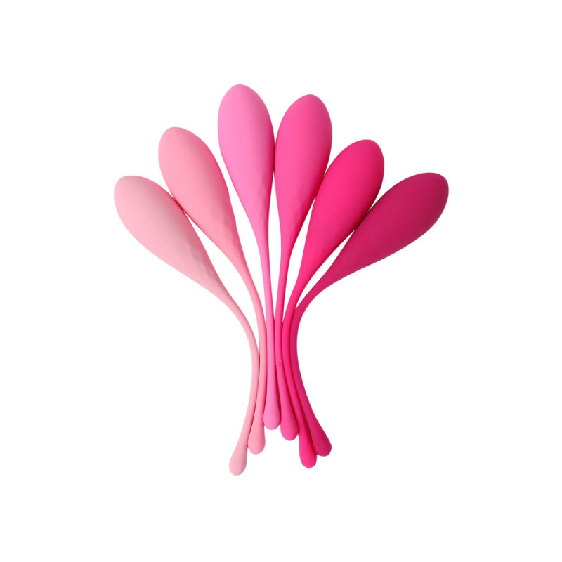 Leslie - Kegel Fit Entregador Suelo Pelvico 6 Pesos | Vybes.it
