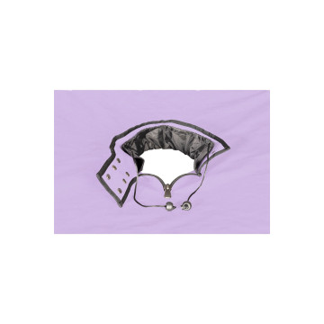Secret Dome - Kink Club Cabina Scandale Morado | Vybes.it