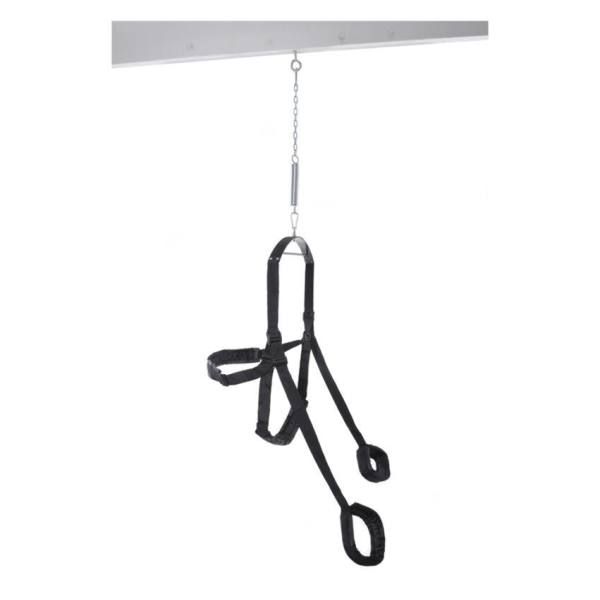 FETISH FANTASY SERIES - COLUMPIO ERÓTICO FANTASY SWING NEGRO